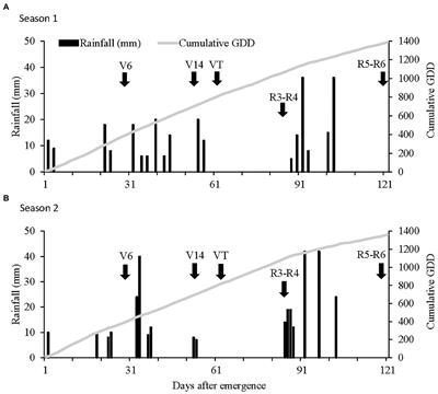 Plant Population and Row Spacing Affects Growth and Yield of Rainfed Maize in Semi-arid Environments